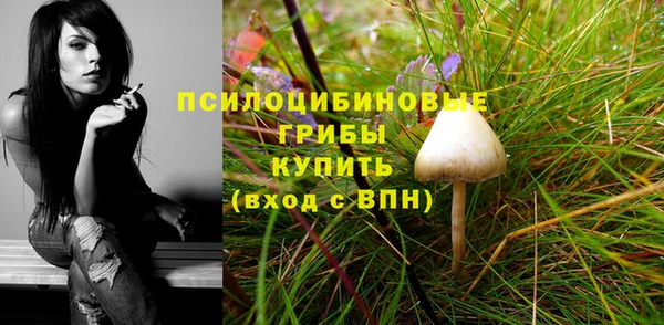 mdpv Белокуриха