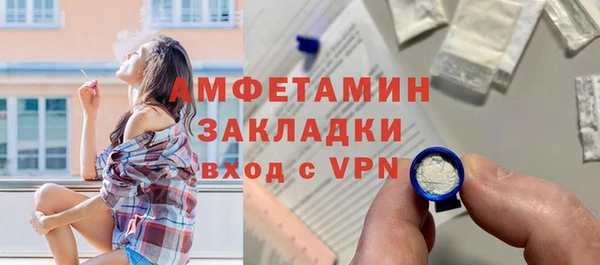 крисы Мегион