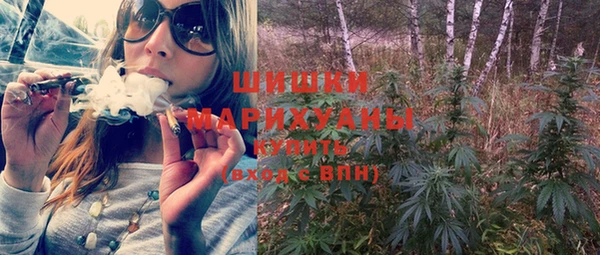 крисы Мегион
