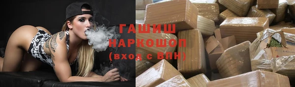 крисы Мегион