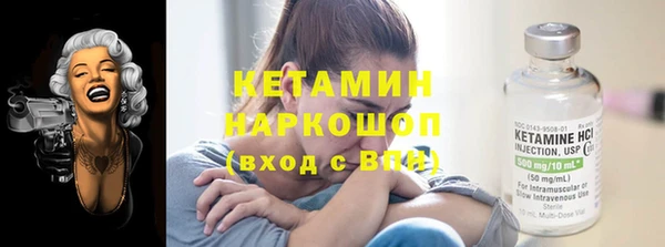 крисы Мегион