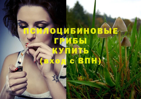 спайс Михайловск