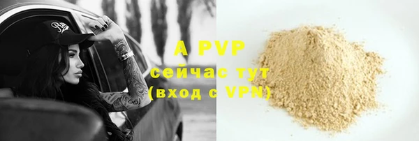 крисы Мегион
