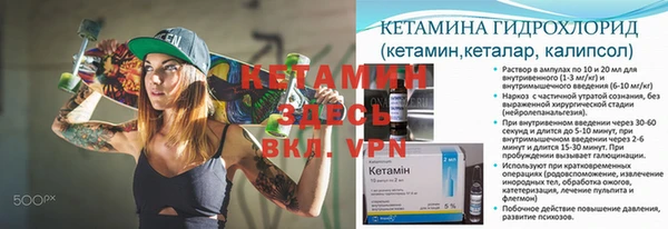 крисы Мегион