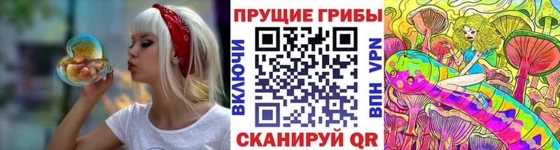купить наркоту  Белокуриха  Псилоцибиновые грибы Psilocybe 